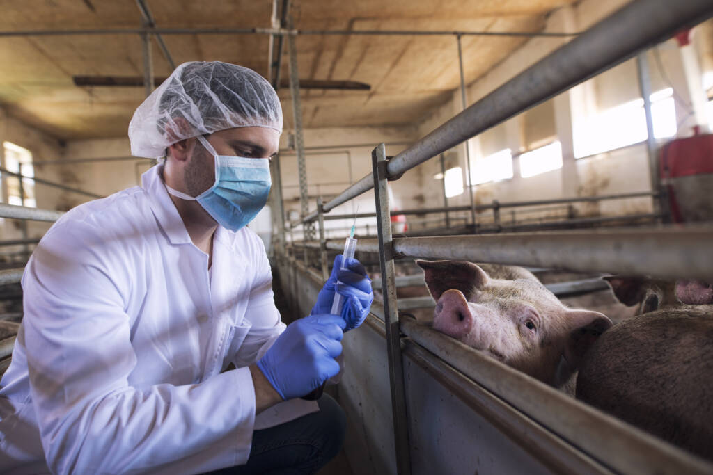 Home - SWAVET Animal Health